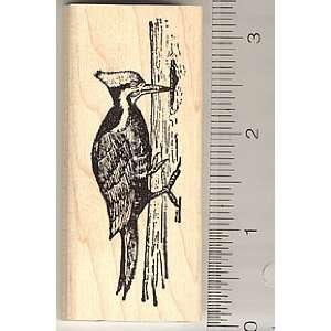  Woodpecker Rubber Stamp   Wood Mounted Arts, Crafts 