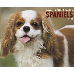  Just Cavalier King Charles Spls 2009 Calendar From Willow 