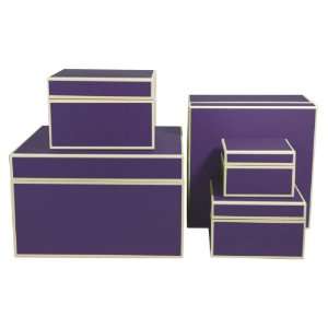   Nesting/Organizer Boxes, Set of 5, Plum (309 18)