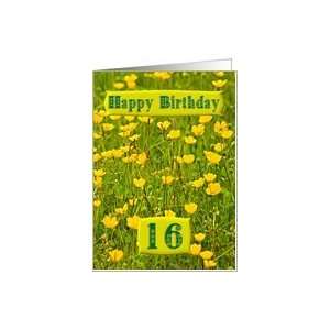    Wildflower meadow card for a 16 year old Card Toys & Games