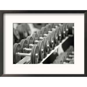  Free Weights in Rack Photos To Go Collection Framed 
