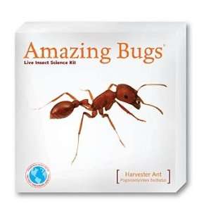 Ants Amazing Bugs(tm) Teacher Packet  Industrial 