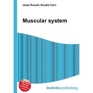  Muscular system Ronald Cohn Jesse Russell Books
