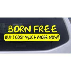 Born Free But I Cost much More Now Funny Car Window Wall Laptop Decal 