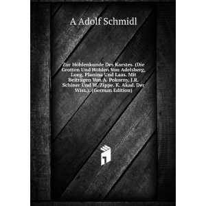   Der Wiss.). (German Edition) (9785874106089) A Adolf Schmidl Books