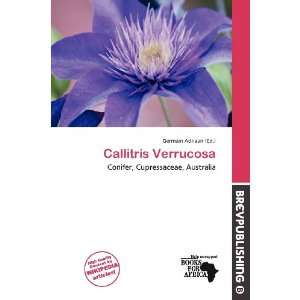    Callitris Verrucosa (9786138421146) Germain Adriaan Books