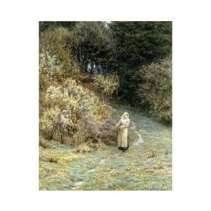  In the Primrose Wood by Helen Allingham 16.62X20.00. Art 