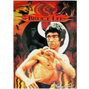  Bruce Lee 4295 15 X 21 Poster