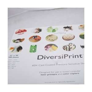  Label Paper for Laser Printers 12x18 Hi Gloss Coated 100 