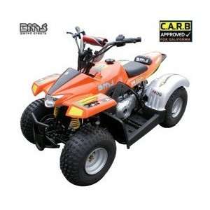  50cc BMS 50 Fully Automatic Kid ATV