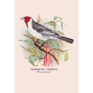 Exclusive By Buyenlarge Dominican Cardinal 24x36 Giclee  