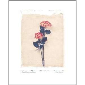  Giant  Roses Poster Print