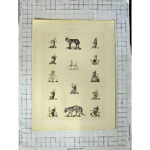  A Plate Of Heraldry Crests C1790 C1900 Wild Animals