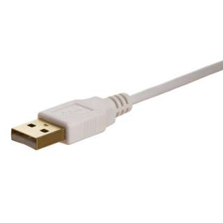 USB 2.0 MALE A to MINI B 5 PIN Gold Plated Cable   15FT White