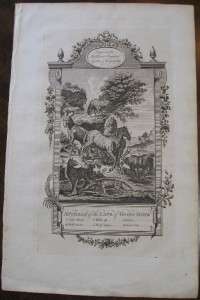 Rare Copperplate Engraving dated 1778 Lions of Africa  