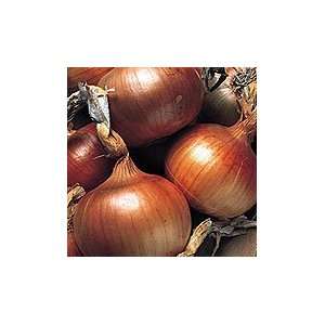 Newburg Onion   1 oz. Grocery & Gourmet Food