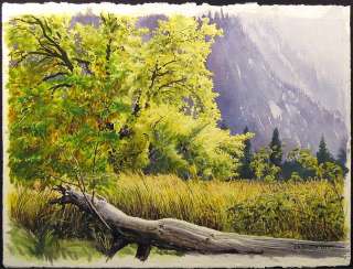 Francis Meisch Yosemite Valley Original Watercolor Painting Art 