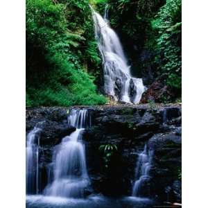 Elebana Falls and Surrounding Vegetation, Lamington National Park 