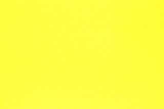 Bright Yellow Cotton Spandex 60 Jersey Knit Fabric BTY  