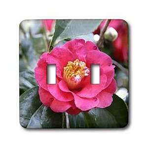  Flowers   Camellia Japonica Flower   Light Switch Covers 