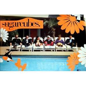  Sugarcubes   Bjork   Poolside Original 1989 23x35 Poster 