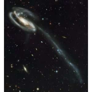  Hubble Space Telescope Astronomy Poster Print   The Tadpole Galaxy 