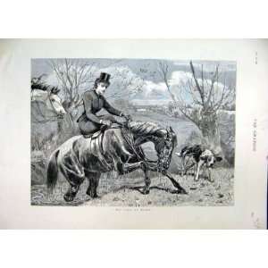    1886 Horse Woman Rider Water Wet Dog Shaking Print