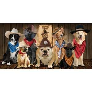   Dogs with Cowboys Hats Beach Towels 30 X 60 Wholesale