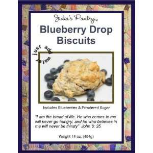 Blueberry Biscuits   Complete Just Add Water  Grocery 