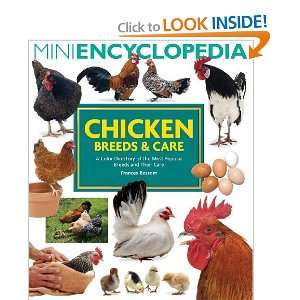Chicken Breeds and Care A Color Directory of the Most Popular Breeds 