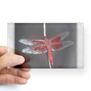    Sticker Clear (Rectangle) Red Flame Dragonfly 