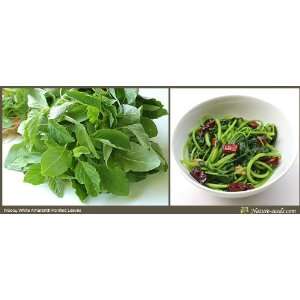   Spinach 1000 Vegetable / Fruit Heirloom Gardening Plant Seeds Patio