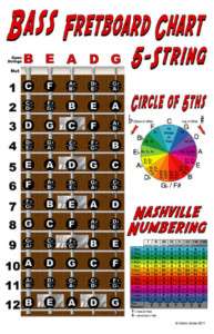 String Bass Fretboard Instructional Chart Poster LOOK  