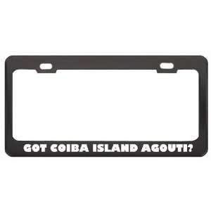 Got Coiba Island Agouti? Animals Pets Black Metal License Plate Frame 