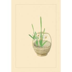  Narcissus   12x18 Framed Print in Black Frame (17x23 