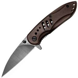  Steel Wharncliffe Blade Spring Assisted Folding Liner Lock Knife 