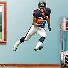 Troy Polamalu Giant FATHEAD Official Vinyl Wall Graphic