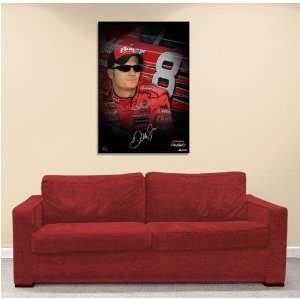 Dale Earnhardt Jr. Nascar Poster / Print  Sports 