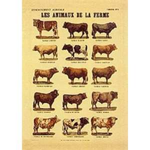  Animaux De La Ferme (Cows) Poster Print