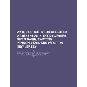 Water budgets for selected watersheds in the Delaware River basin 