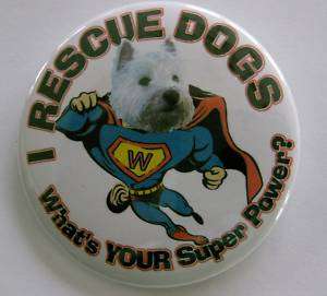 WESTIE superhero dog RESCUE BUTTON badge shelter pet  