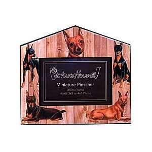    Mianiature Pinscher Dog Breed Photo Picture Frame