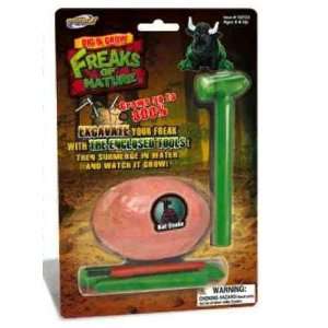  Freaks of Nature Dig and Grow Animal Kit HORSEFLY Toys & Games