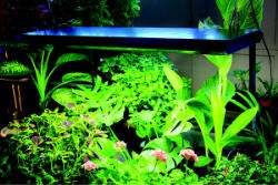 FOR MORE GROW LIGHTS & ACCESSORIES THAT WE OFFER, CLICK ON GROW 