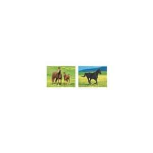  Wild Horses Mini Photo Album 4 Pack Toys & Games