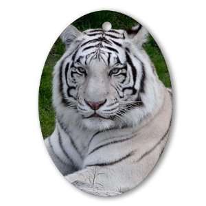 White Tiger White tiger Oval Ornament by  