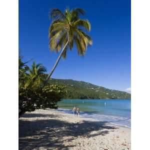 Palms and Beach at Magens Bay, St. Thomas, U.S. Virgin Islands, West 
