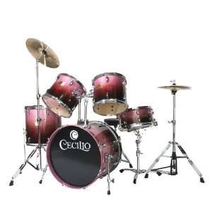  Cecilio 2Sereis DS 280BP High Grade 5 Piece Purple Drum 