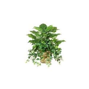   Artificial Silk Mixed Pothos Plant Greenery   20 in.