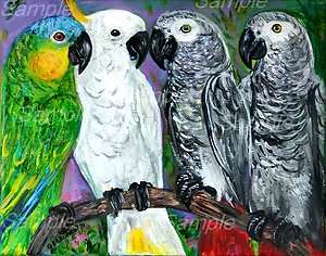  CITRON COCKATOO AFRICAN GREY PARROT LE#2 GICLEE BIRD Painting 